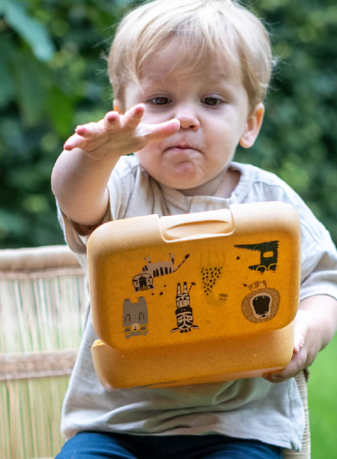Lunchboxen