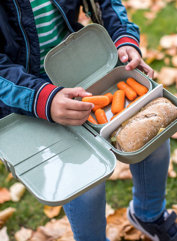 Lunchboxen