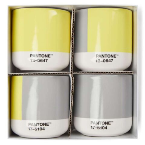 Cortadobeker Dubbelwandig 170 ml in Giftbox Set van 4 Stuks - Illuminating 13-0647/Ultimate Gray 17-5104