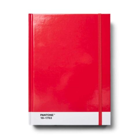 Notitieboek Groot Gestipt - Red 18-1763