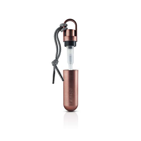 Desinfectiespray Hand Mini 17 ml Brons