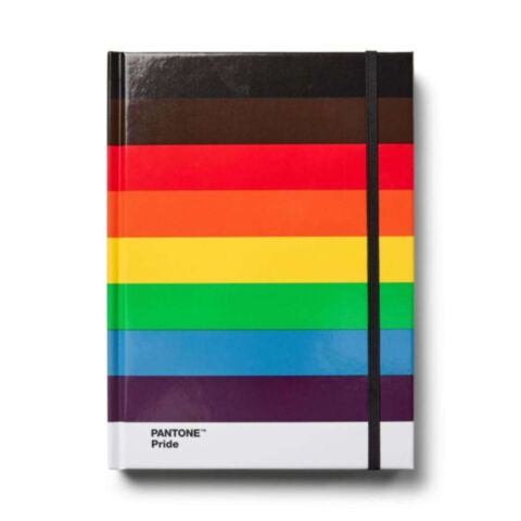 Notitieboek Groot Gestipt - Pride