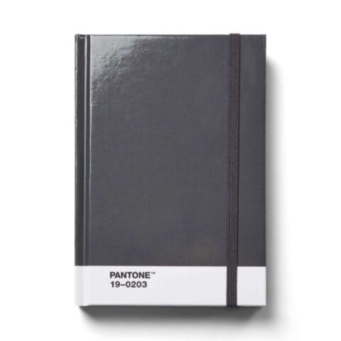 Notitieboek Klein Gestipt - Gray 19-0203