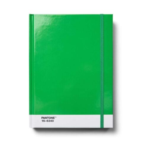 Notitieboek Groot Gestipt - Green 16-6340