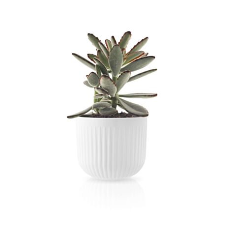 Legio Nova Bloempot Klein