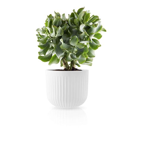 Legio Nova Bloempot Groot
