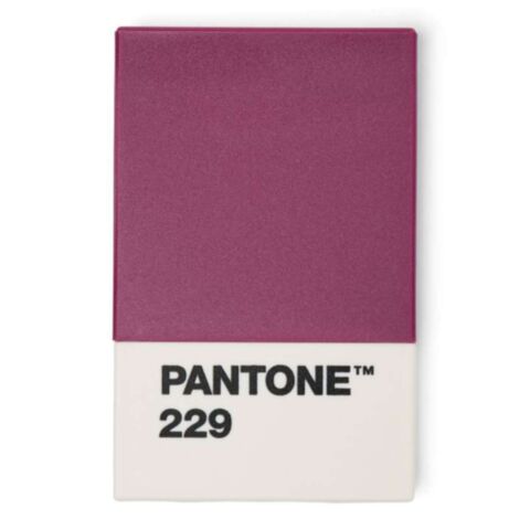 Pasjeshouder in Giftbox - Aubergine 229