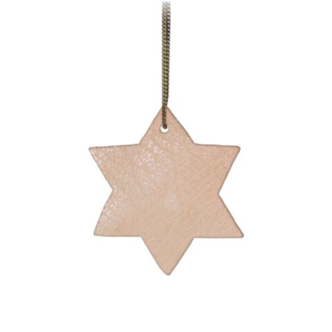 Leer Hanger Ster 2D
