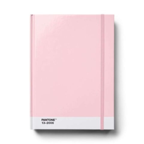Notitieboek Groot Gestipt - Light pink 13-2006