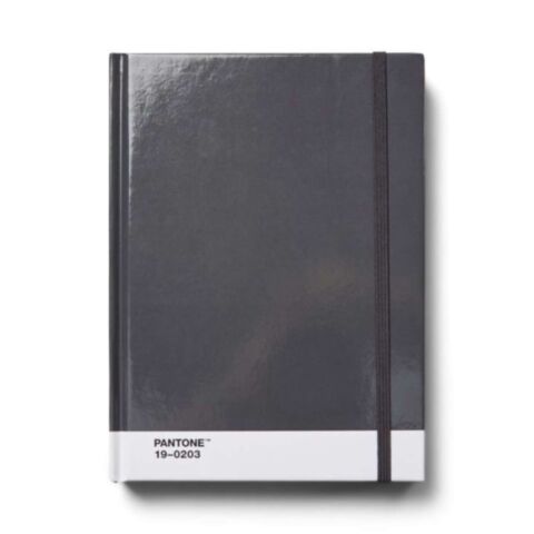 Notitieboek Groot Gestipt - Gray 19-0203