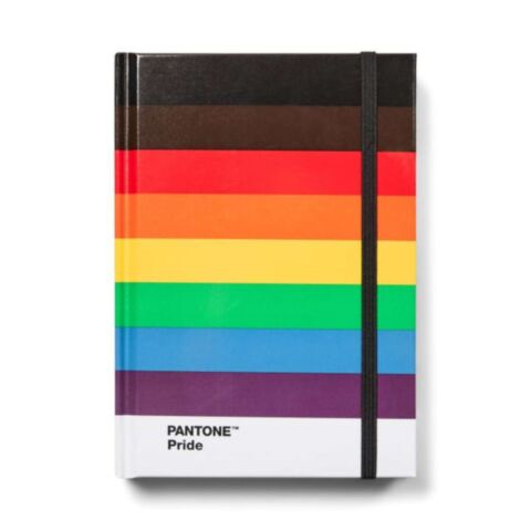 Notitieboek Klein Gestipt - Pride