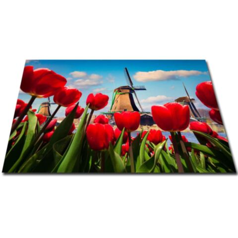 Inductie Kookplaatbeschermer Hollandse Molen 73x52 cm
